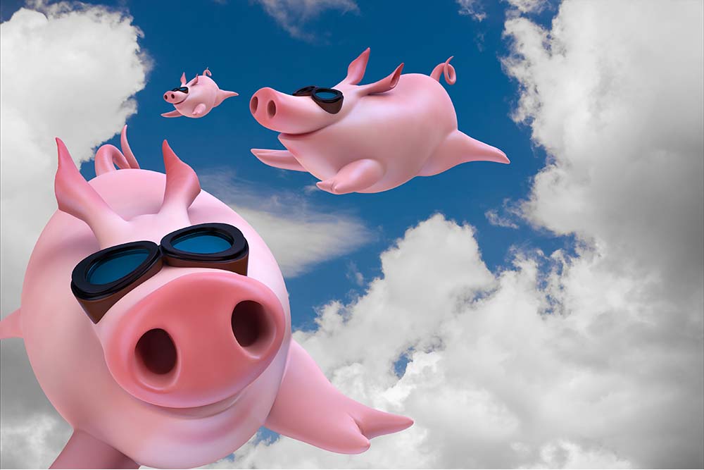 I Didn't Speak Up! Are Pigs Flying, Too